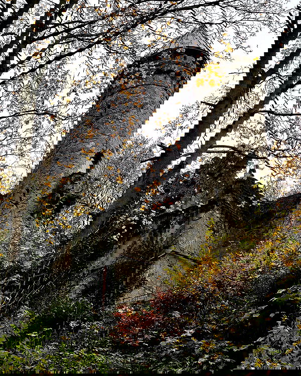 v.e.r.o._.n.i.c.a image ~ Altpins