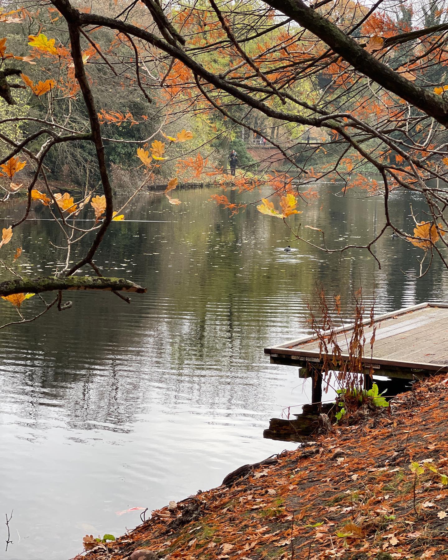 v.e.r.o._.n.i.c.a instagram image archive image