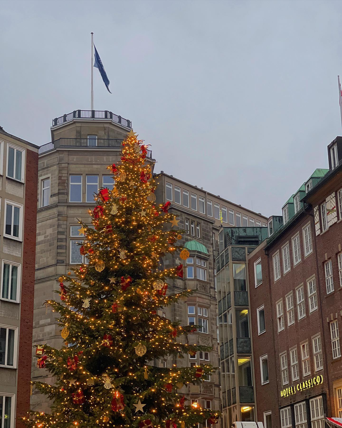 v.e.r.o._.n.i.c.a instagram image archive image