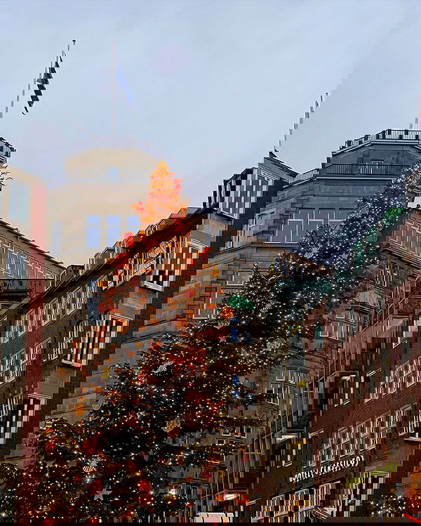 v.e.r.o._.n.i.c.a image ~ Altpins