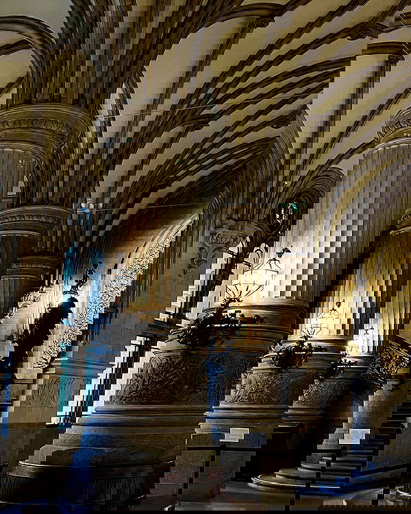 v.e.r.o._.n.i.c.a image ~ Altpins