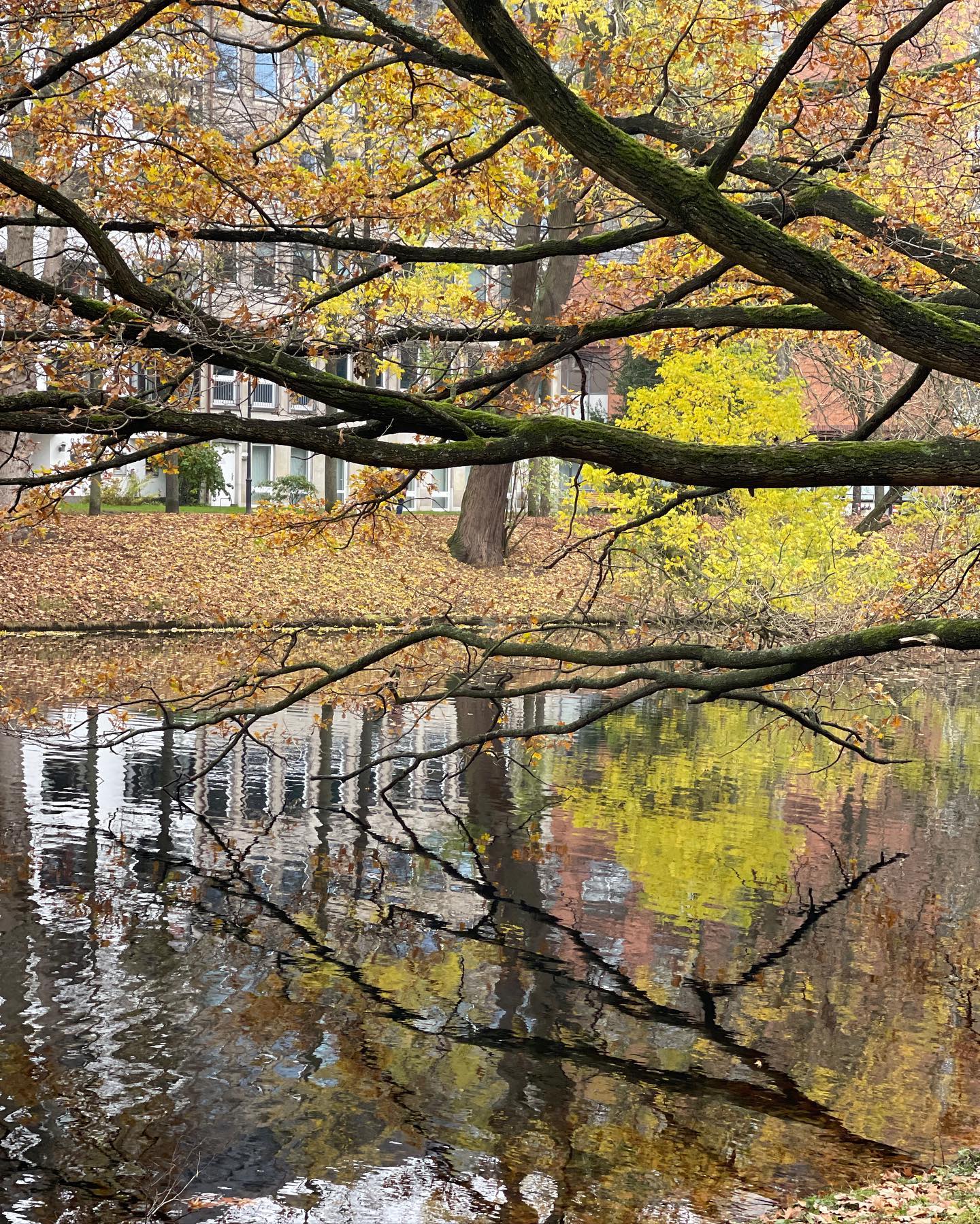 v.e.r.o._.n.i.c.a instagram image archive image