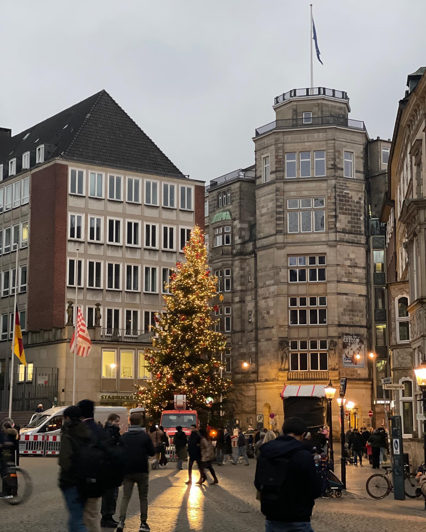 v.e.r.o._.n.i.c.a instagram image archive image