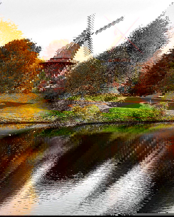 v.e.r.o._.n.i.c.a image ~ Altpins