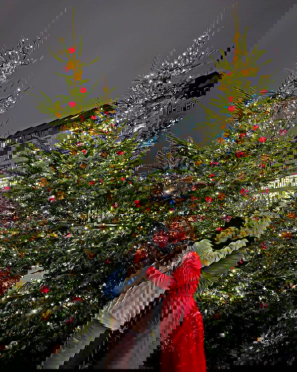 v.e.r.o._.n.i.c.a image ~ Altpins