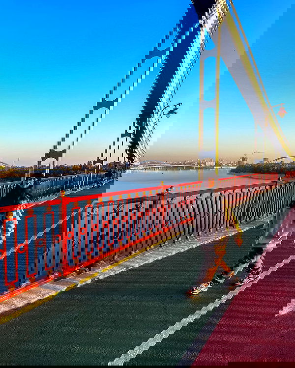 v.e.r.o._.n.i.c.a image ~ Altpins