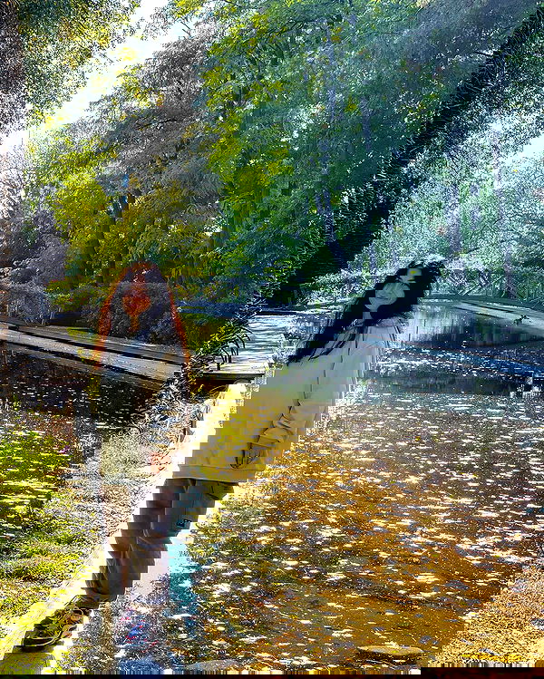 v.e.r.o._.n.i.c.a image ~ Altpins