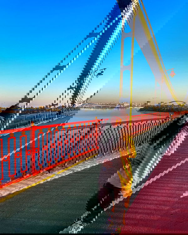 v.e.r.o._.n.i.c.a image ~ Altpins