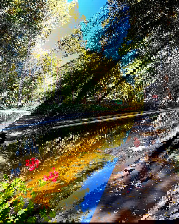 v.e.r.o._.n.i.c.a image ~ Altpins