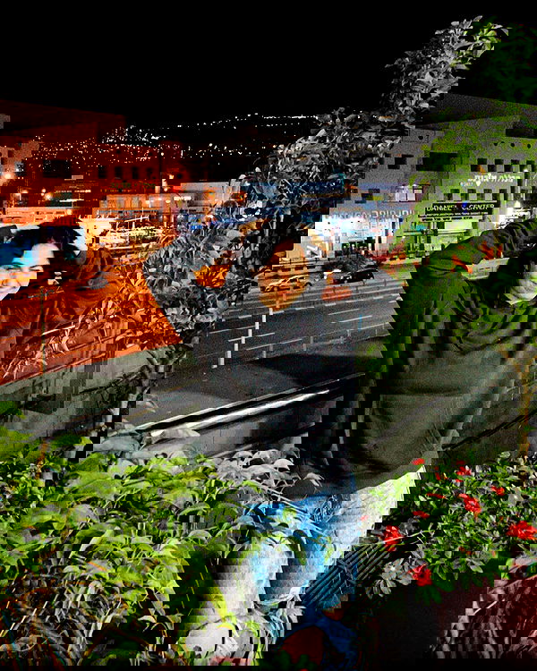 v.e.r.o._.n.i.c.a image ~ Altpins