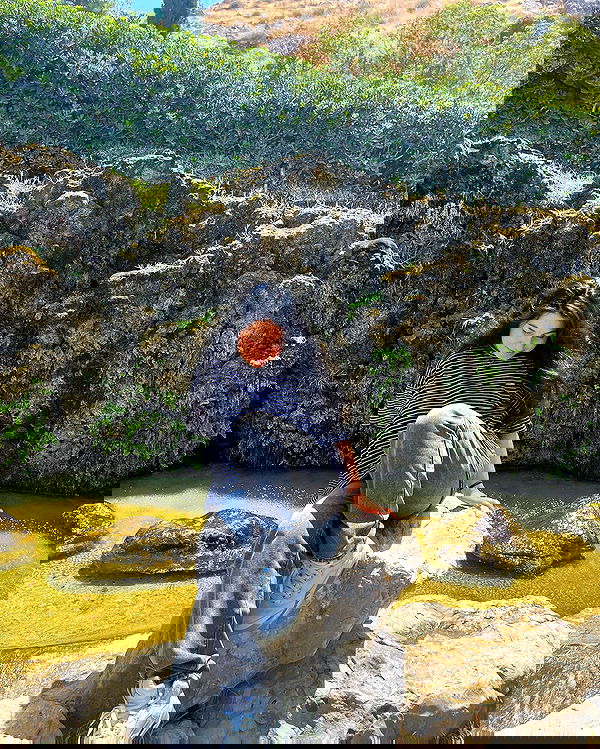 v.e.r.o._.n.i.c.a image ~ Altpins