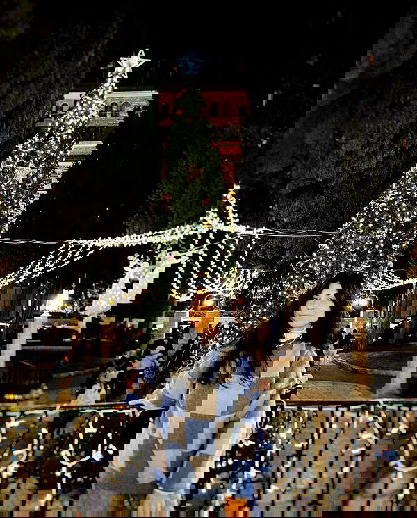 v.e.r.o._.n.i.c.a image ~ Altpins