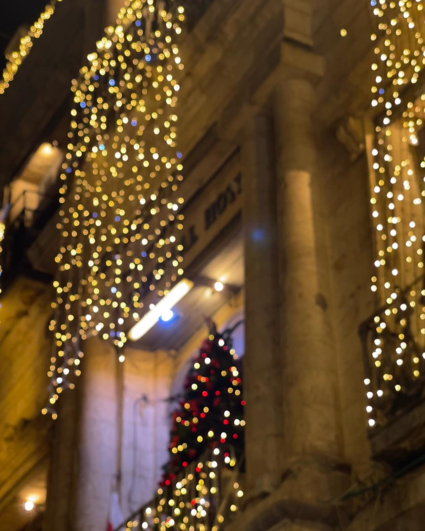 v.e.r.o._.n.i.c.a instagram image archive image