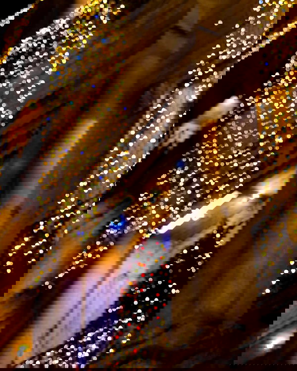 v.e.r.o._.n.i.c.a image ~ Altpins