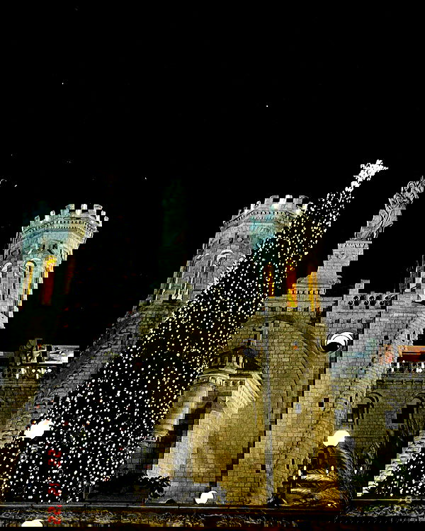 v.e.r.o._.n.i.c.a image ~ Altpins