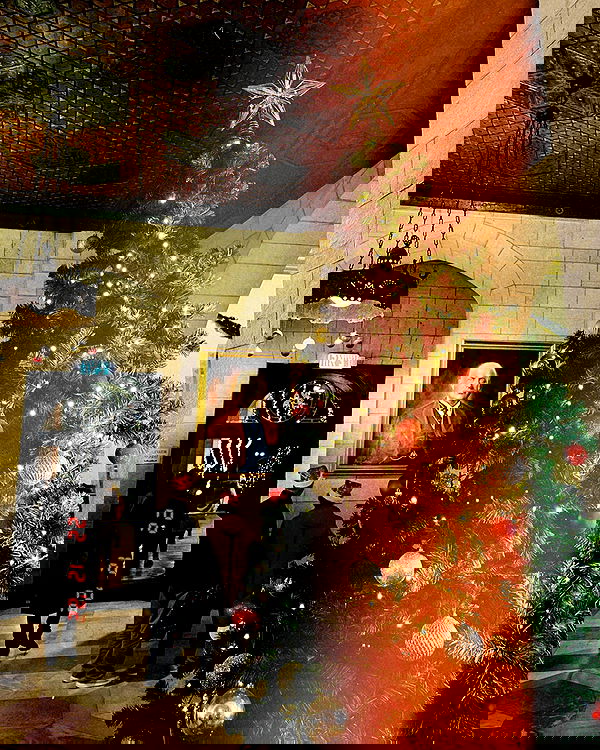 v.e.r.o._.n.i.c.a image ~ Altpins