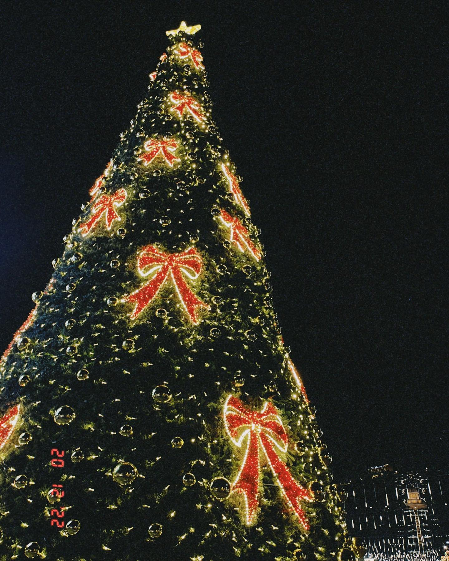 v.e.r.o._.n.i.c.a instagram image archive image