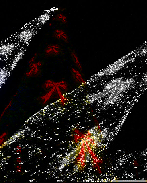 v.e.r.o._.n.i.c.a image ~ Altpins