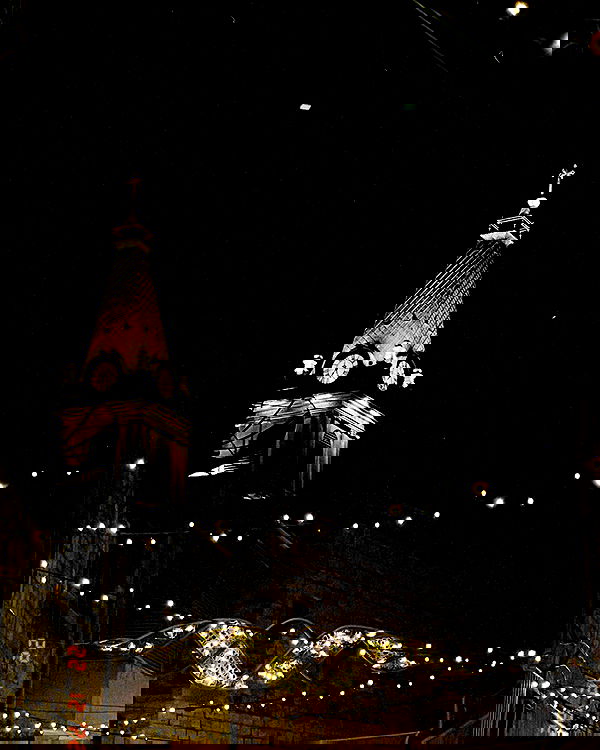 v.e.r.o._.n.i.c.a image ~ Altpins