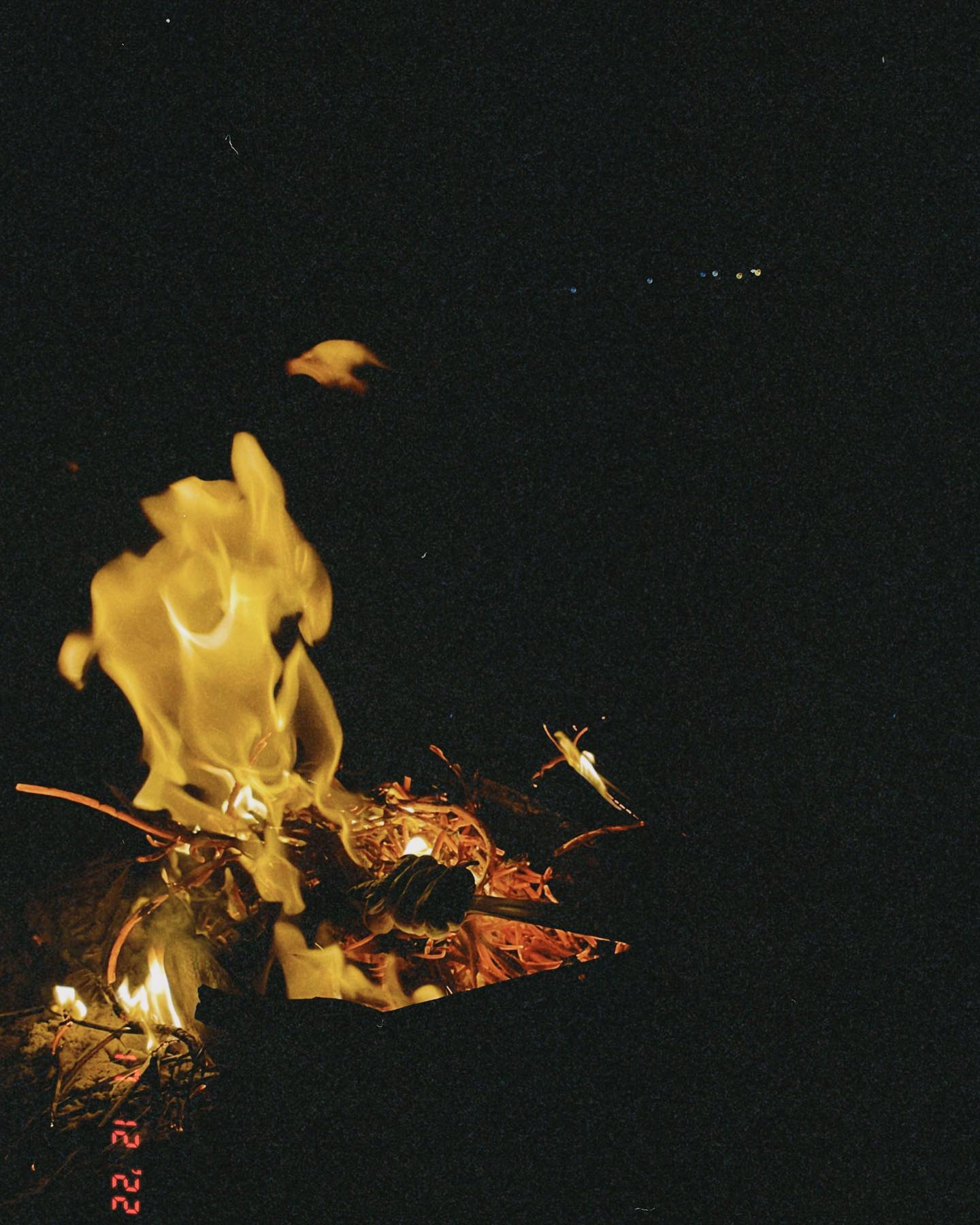 v.e.r.o._.n.i.c.a instagram image archive image