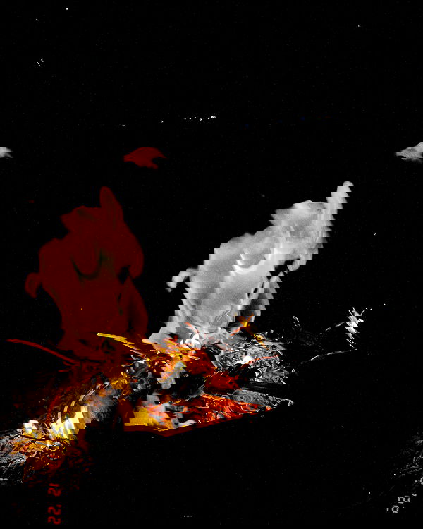 v.e.r.o._.n.i.c.a image ~ Altpins