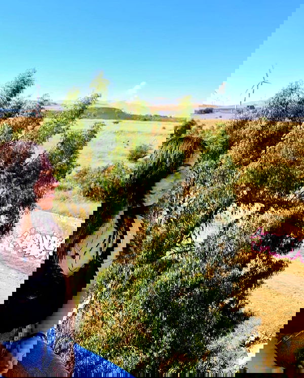 v.e.r.o._.n.i.c.a image ~ Altpins