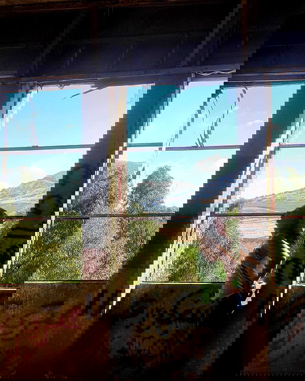 v.e.r.o._.n.i.c.a image ~ Altpins