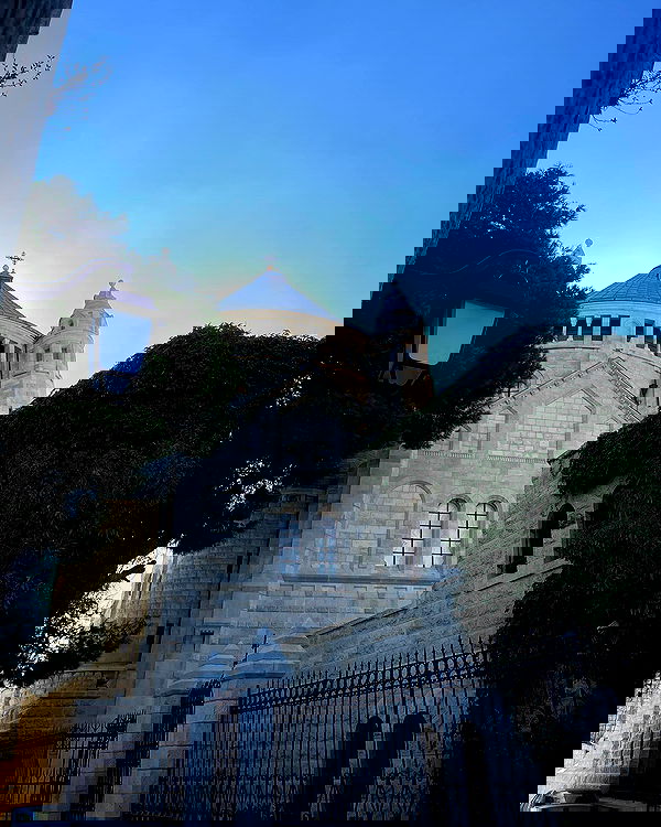 v.e.r.o._.n.i.c.a image ~ Altpins