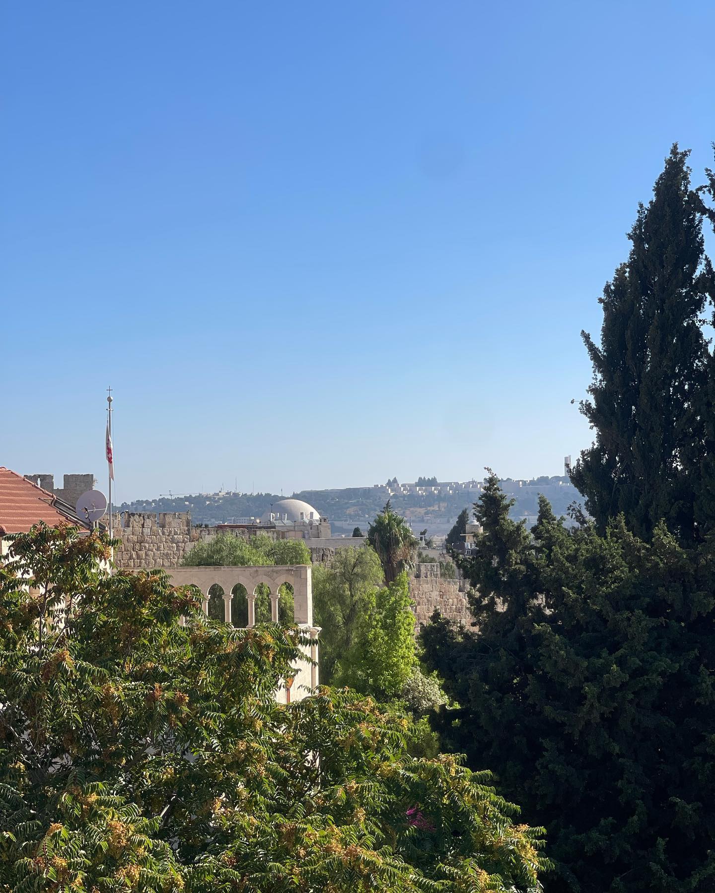 v.e.r.o._.n.i.c.a instagram image archive image