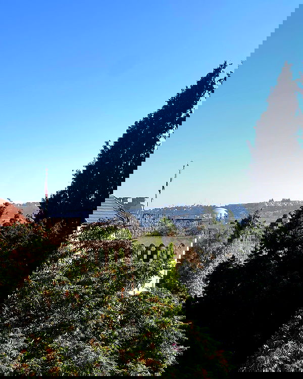 v.e.r.o._.n.i.c.a image ~ Altpins