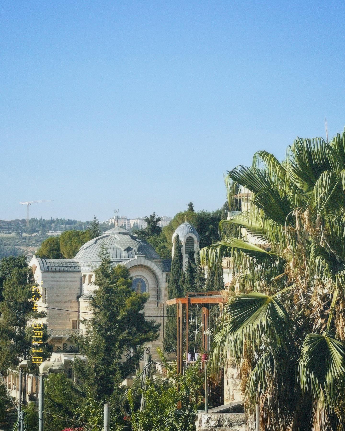 v.e.r.o._.n.i.c.a instagram image archive image