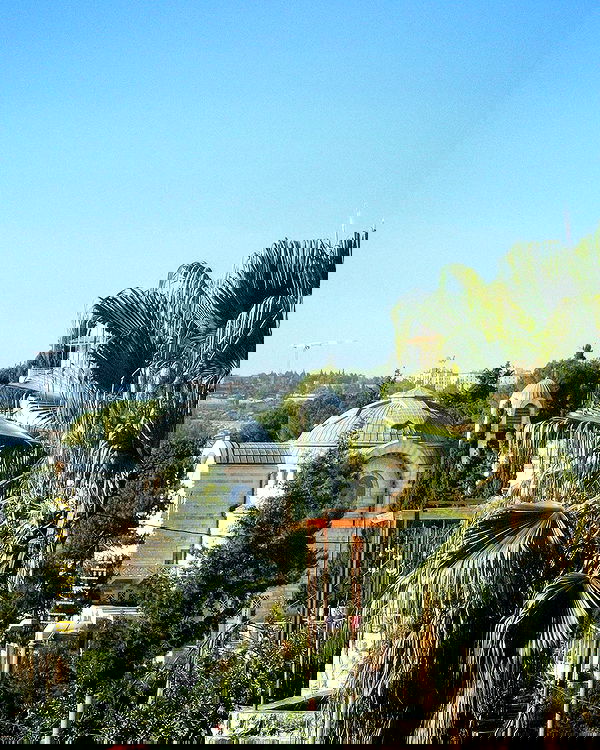 v.e.r.o._.n.i.c.a image ~ Altpins