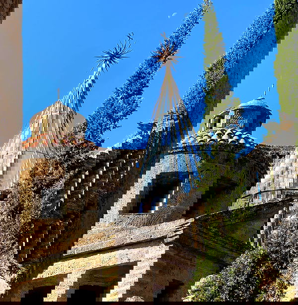 v.e.r.o._.n.i.c.a image ~ Altpins