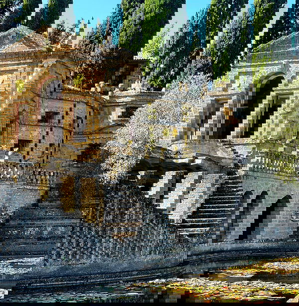 v.e.r.o._.n.i.c.a image ~ Altpins