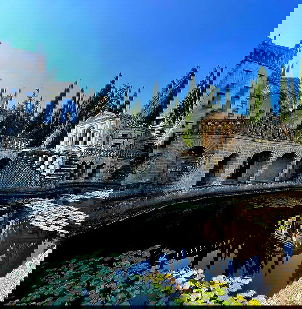 v.e.r.o._.n.i.c.a image ~ Altpins