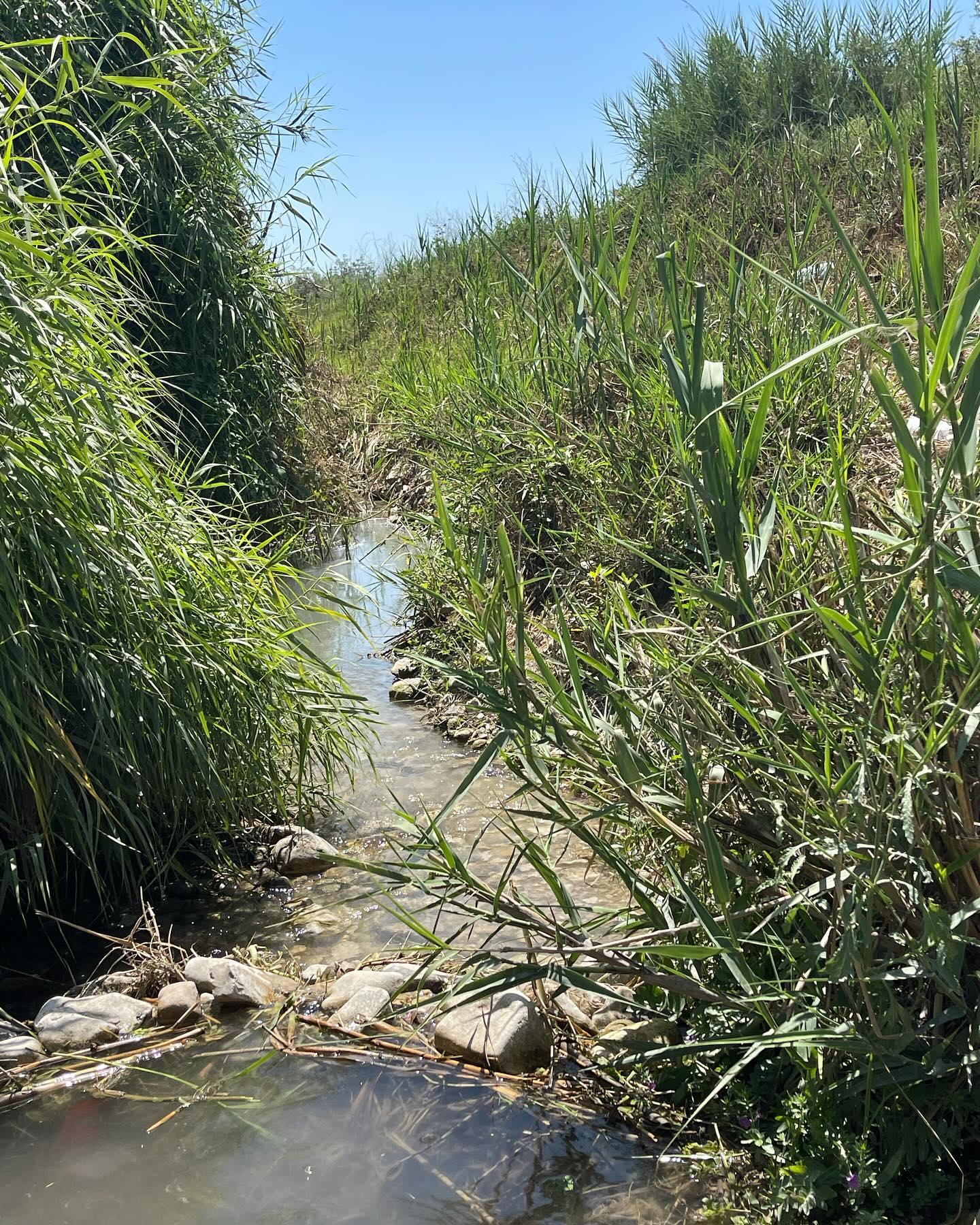 v.e.r.o._.n.i.c.a instagram image archive image