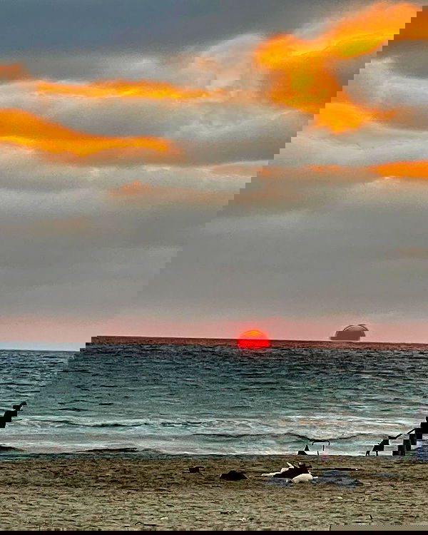 v.e.r.o._.n.i.c.a image ~ Altpins