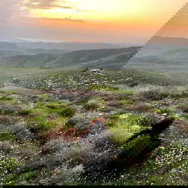 v.e.r.o._.n.i.c.a image ~ Altpins