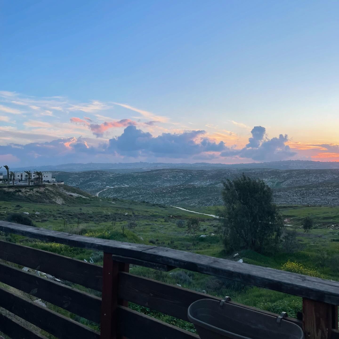 v.e.r.o._.n.i.c.a instagram image archive image