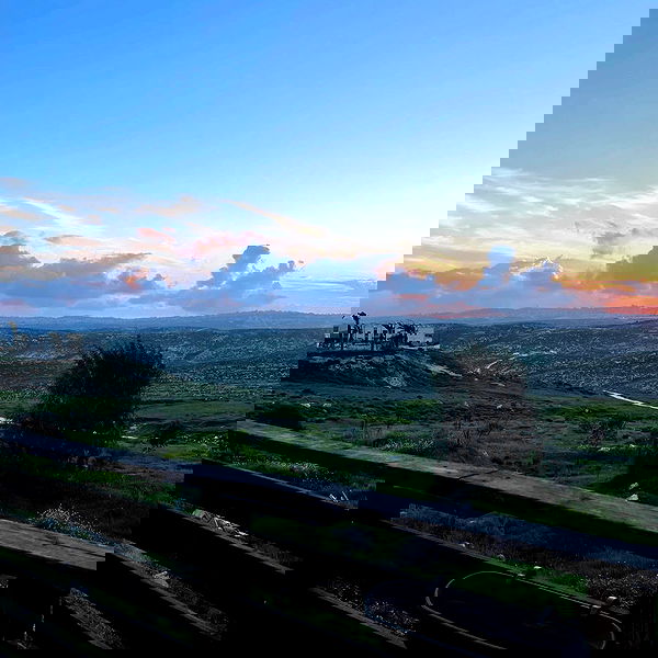 v.e.r.o._.n.i.c.a image ~ Altpins