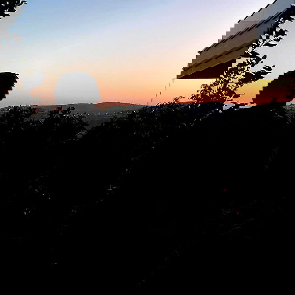 v.e.r.o._.n.i.c.a image ~ Altpins