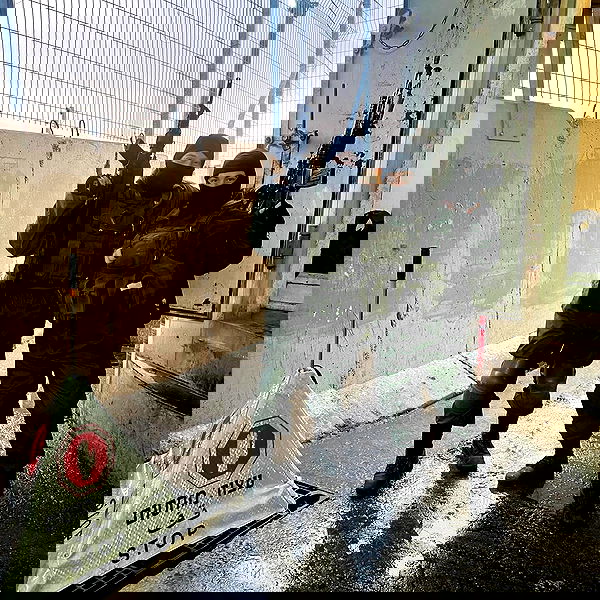 v.e.r.o._.n.i.c.a image ~ Altpins