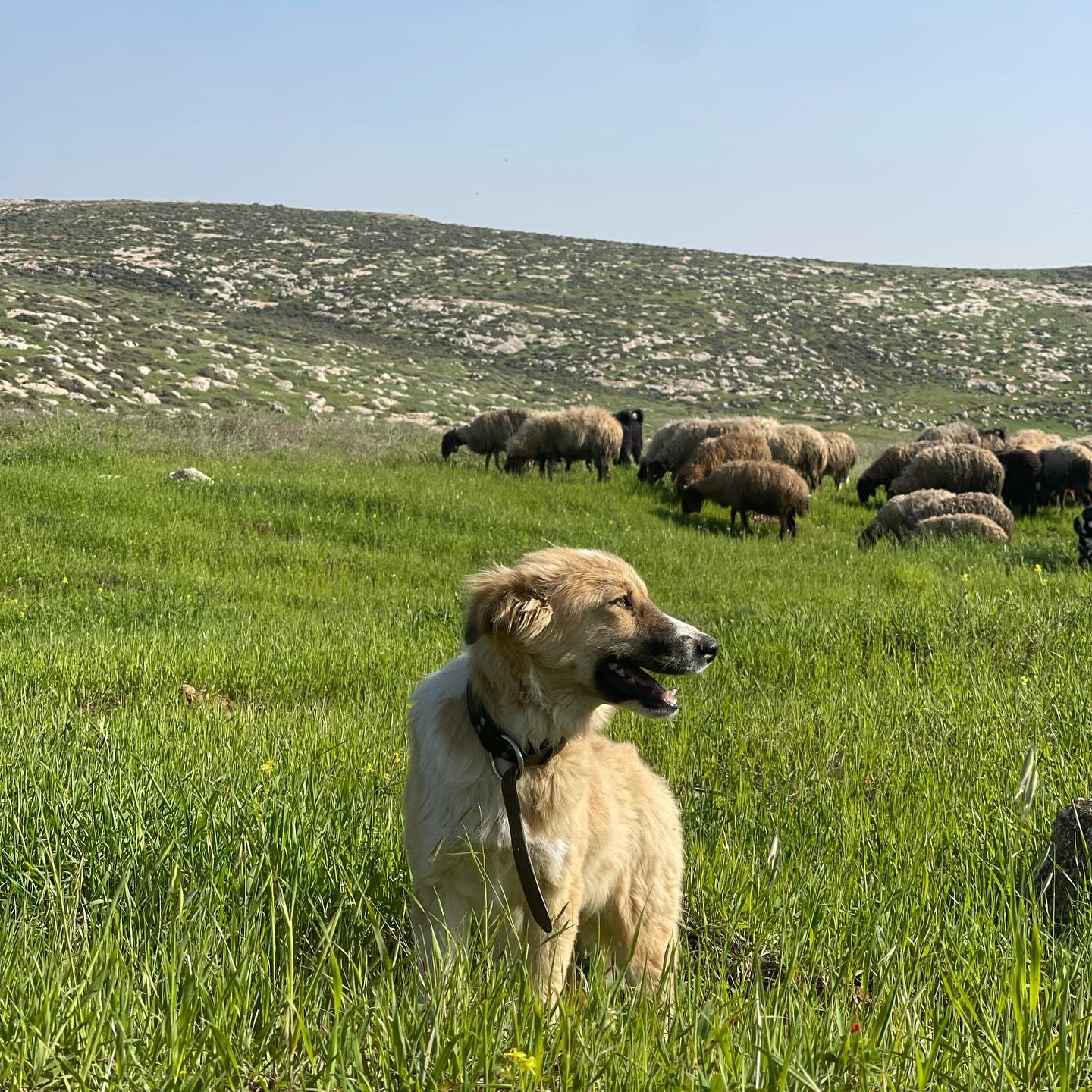 v.e.r.o._.n.i.c.a instagram image archive image