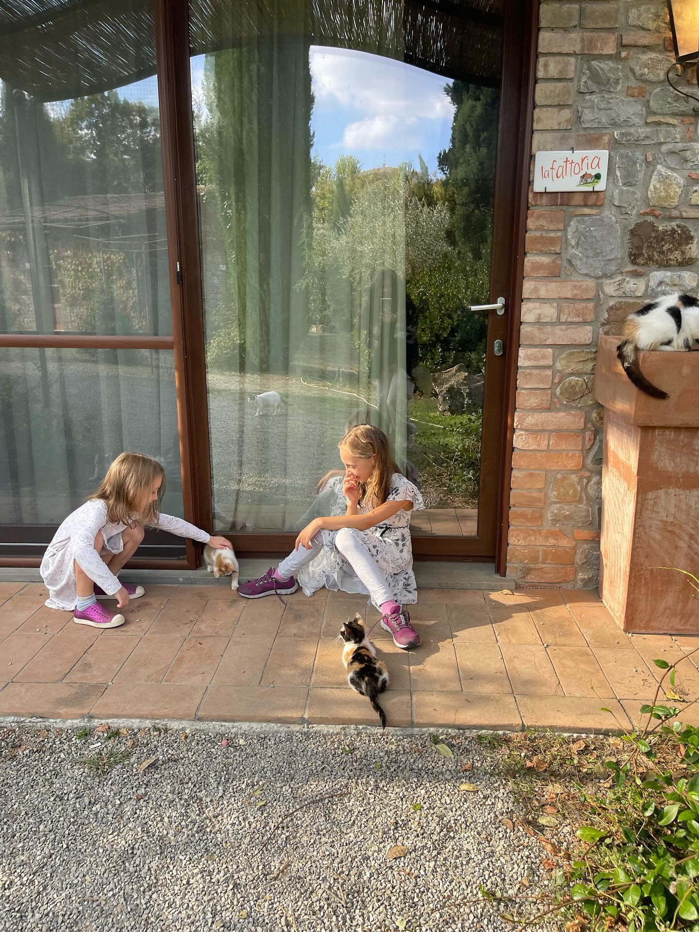 v.e.r.o._.n.i.c.a instagram image archive image