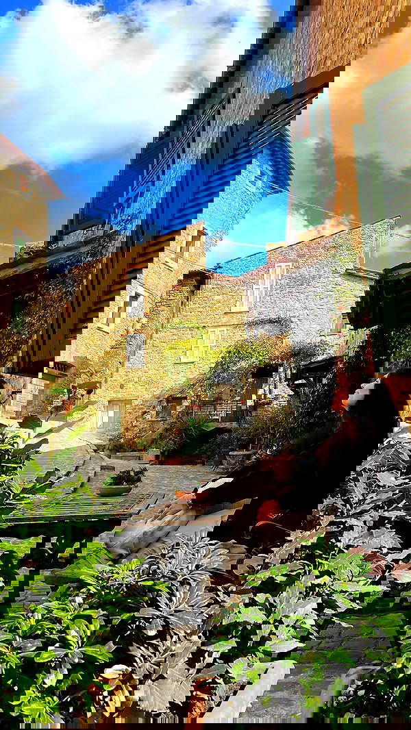 v.e.r.o._.n.i.c.a image ~ Altpins