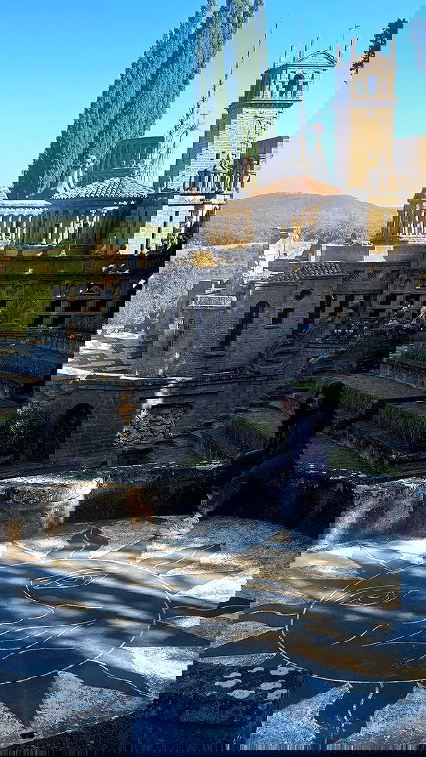 v.e.r.o._.n.i.c.a image ~ Altpins