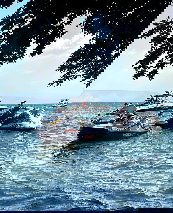 v.e.r.o._.n.i.c.a image ~ Altpins