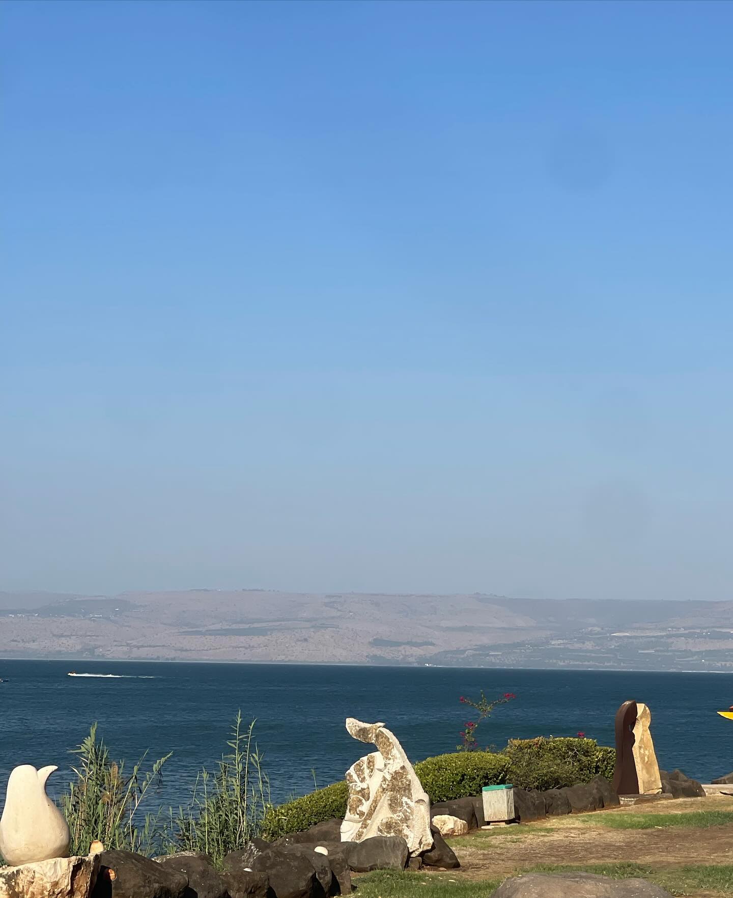 v.e.r.o._.n.i.c.a instagram image archive image