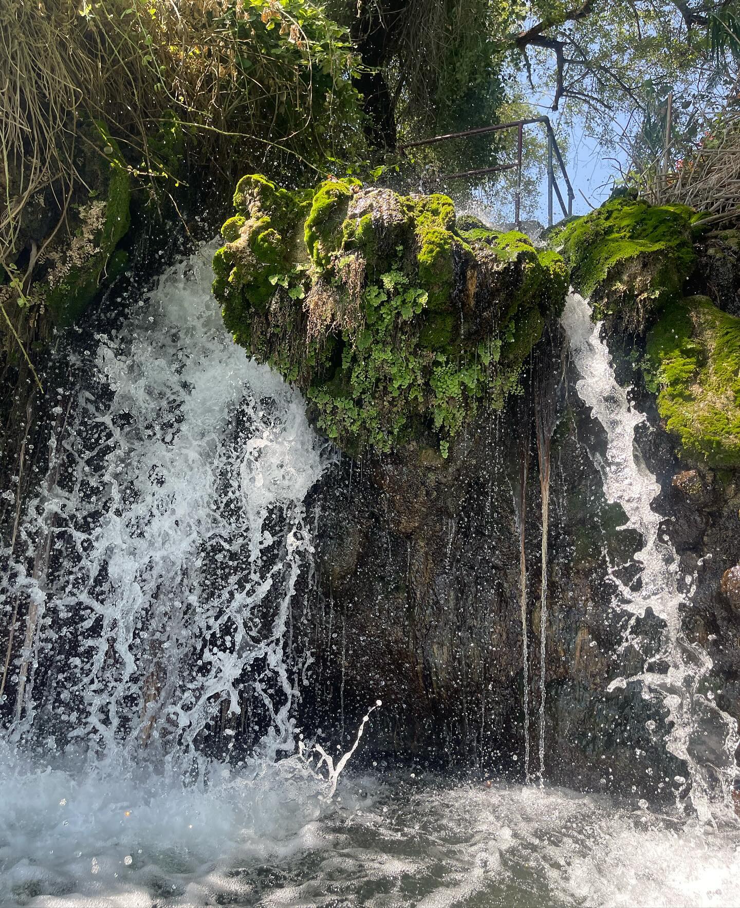 v.e.r.o._.n.i.c.a instagram image archive image