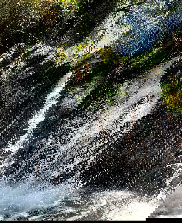 v.e.r.o._.n.i.c.a image ~ Altpins